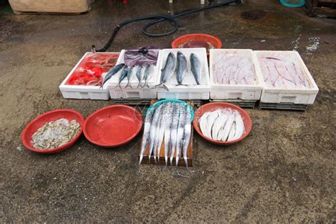 冰中的鱼店铺钓鱼海鲜市场高清图片下载-正版图片320443567-摄图网