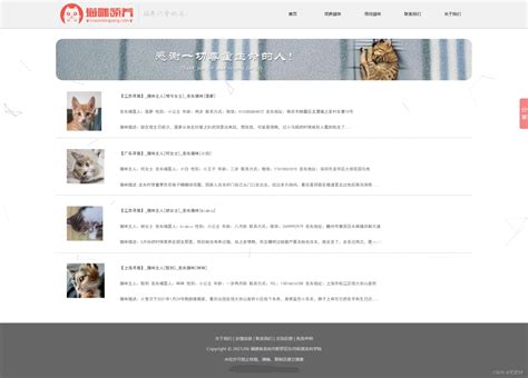 web前端课程设计：猫咪领养网站 HTML+CSS+JavaScript_前端宠物店猫咪区-CSDN博客