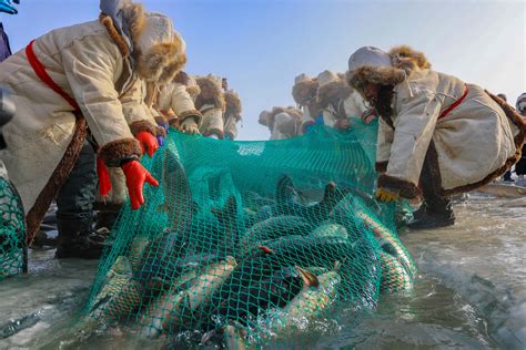 浙江玉环：渔港码头渔民卸载渔获忙-人民图片网