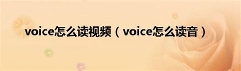 voice怎么读视频（voice怎么读音）_华夏智能网