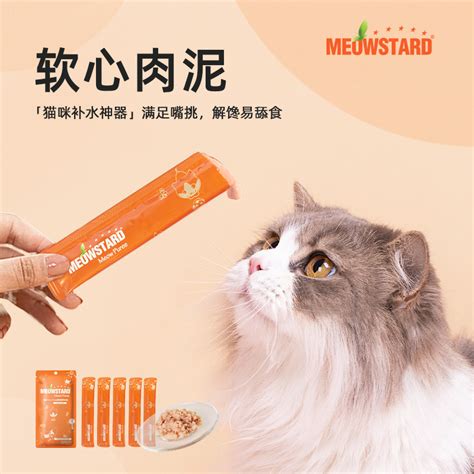 新手在日常养猫时，怎样把猫照顾好？ - 知乎