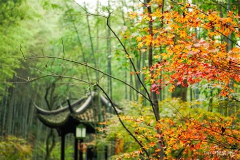 Yunqi Bamboo Trail travel guidebook –must visit attractions in Hangzhou ...