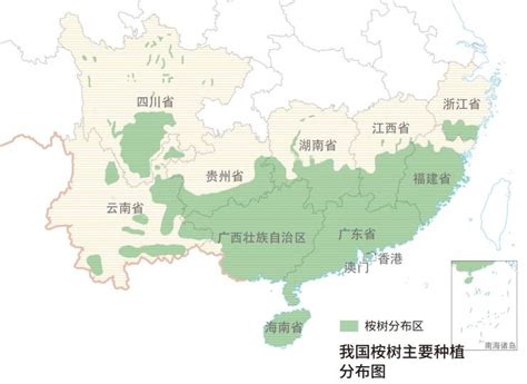 全国最大的红树林自然保护区在哪？湛江：这里！_澎湃号·媒体_澎湃新闻-The Paper