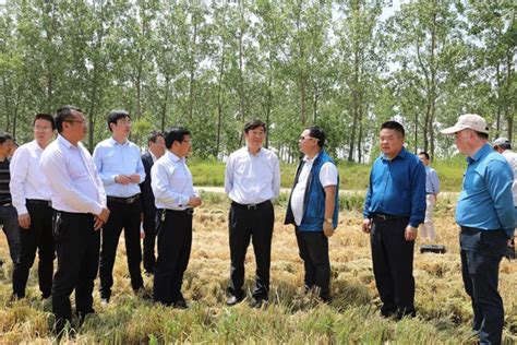苏垦农发入选2023中国农业企业500强、农业社会化服务行业20强
