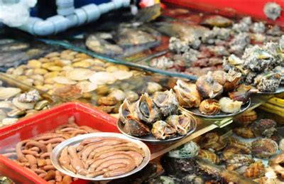 芽庄遇中国商人，异国的海鲜生意好做吗？