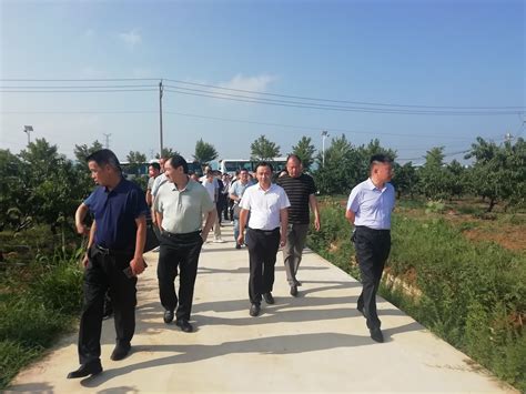 全省精品果园（桃）建设现场观摩活动在枣阳举办--湖北省农业农村厅