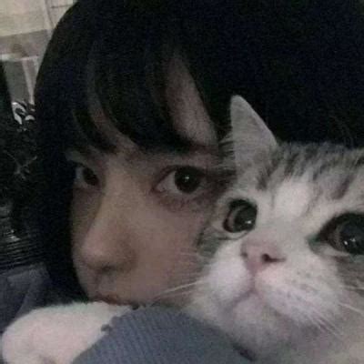 温柔头像女生猫