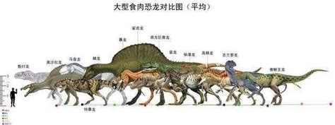 三叠纪最大的肉食性恐龙的存在证据其实来自于吃素的恐龙