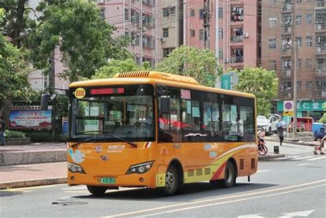 6月起这条公交线路将取消，这些线路要调整！_深圳24小时_深新闻_奥一网