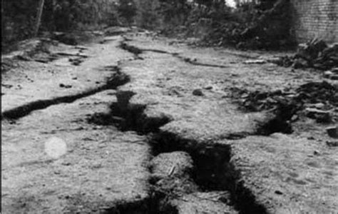 唐山大地震伤亡程度，唐山大地震的巨大影响