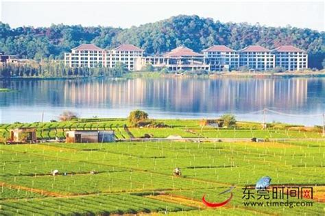 【4.23挂牌】东莞企石推出174亩商住地，起价25.4亿_好地网