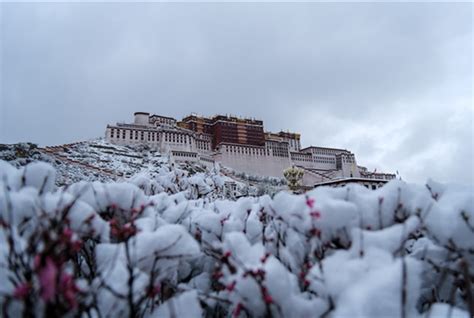 外国游客在西藏感受浓浓新春_荔枝网新闻