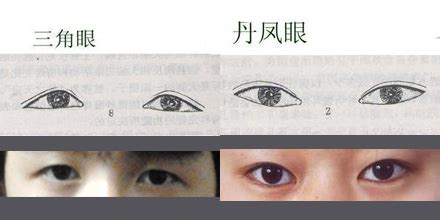 杏仁眼图片