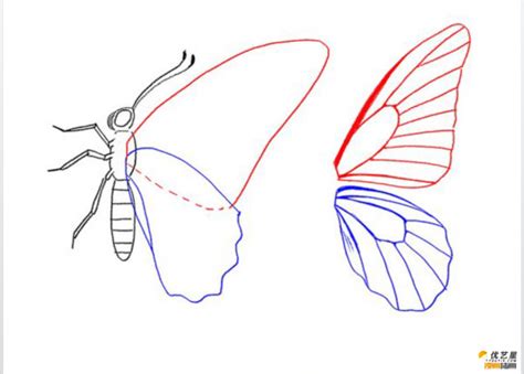 好看的漂亮的蝴蝶怎么画 一只五颜六色的蝴蝶教程 带线稿和上色教程[ 图片/10P ] - 才艺君