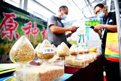 平罗县“2020年中国农民丰收节”活动启动-宁夏新闻网
