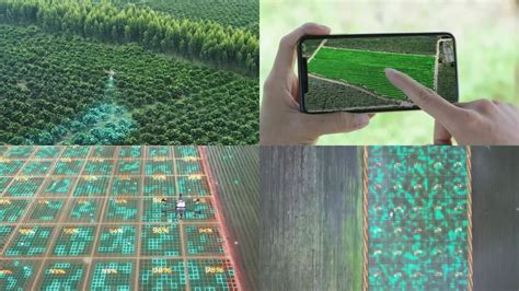 数字技术为传统农业带来更多可能性_智慧农业-农博士农先锋网