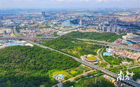 全国首个国家森林城市群有望年底在粤建成_南方网