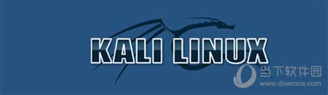 Kali Linux中文版下载|Kali Linux V2019.2 官方最新版百度网盘下载_当下软件园