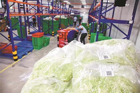 工厂蔬菜供应有何优势，工厂蔬菜供应配送模式研究|蔬菜配送-首宏蔬菜配送公司