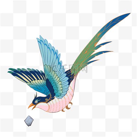 精卫鸟图片
