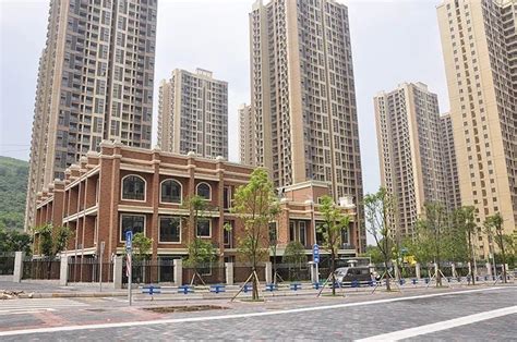深圳公租房哪个区最容易排到 公租房申请条件|公租房申请|公租房|深圳市_新浪新闻