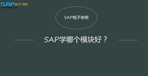 SAP培训_SAP培训课程学习及SAP培训视频资料下载-SAP桔子学院