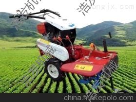 洪珠3MZ-4马铃薯中耕机