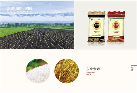 稻谷碾米技术及要求你知道多少-荆州市丰收米业有限公司