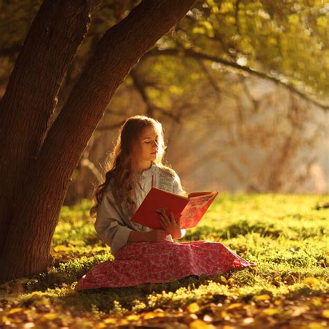 坐在草坪看书学习的女生高清图片下载-正版图片501315150-摄图网
