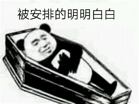 躺尸表情包图片