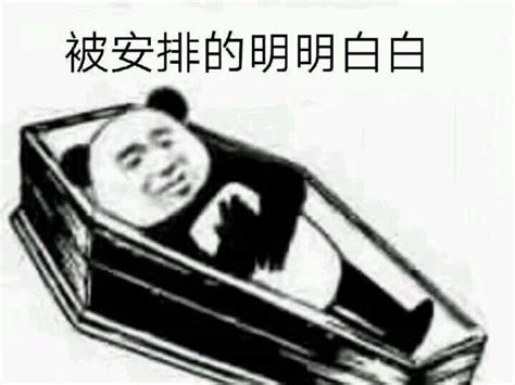 你抓周树人，跟我鲁迅有什么关系？