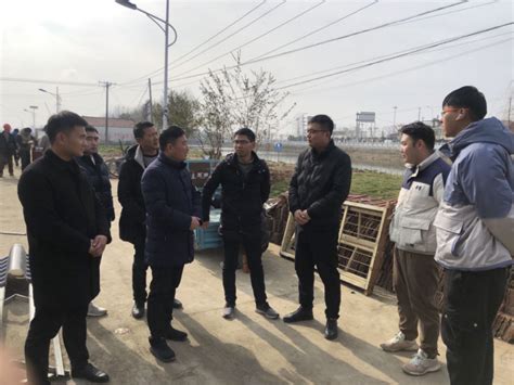 长丰县左店镇：严格把好工程质量关和安全关|中安在线合肥频道|合肥新闻|合肥资讯