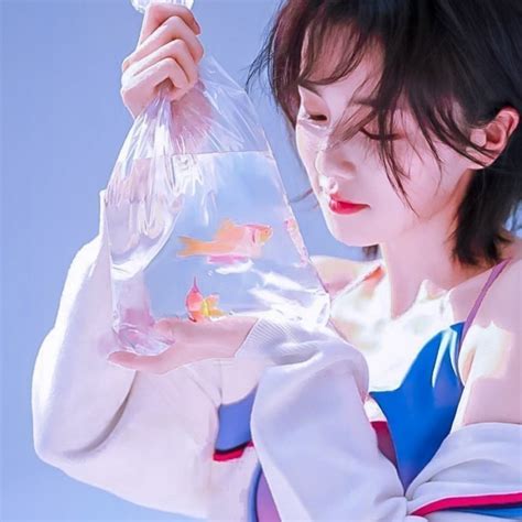 白鹿温柔头像女生