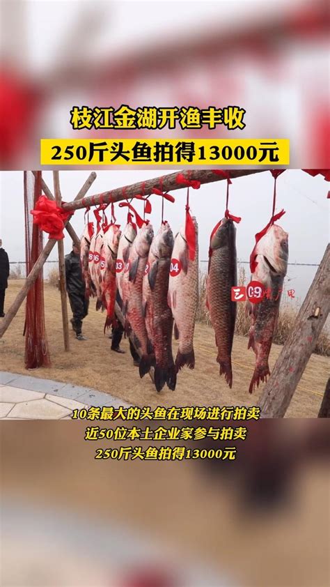 相民看零售：如果这是北京超市不卖活鱼的“前因”，那“后果”由谁承担？_联商专栏