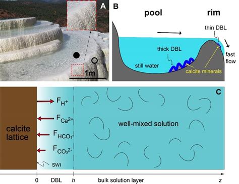 FVCOM三维水动力与水交换、污染物扩散数值模拟实践技术应用 - 知乎