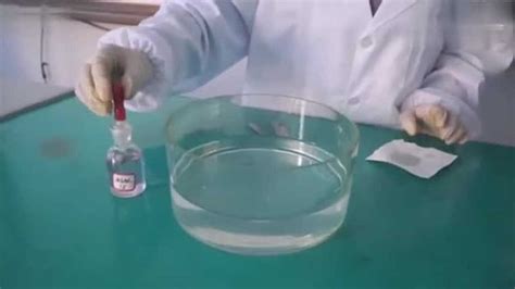 钠与水的反应实验！_腾讯视频