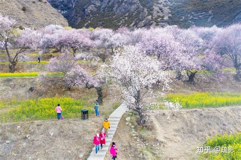 林芝旅游三天时间怎么安排行程？