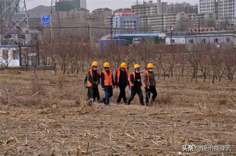 走进凌海南站（锦州东站）施工现场！|施工现场_新浪新闻