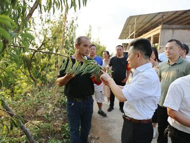 工业上楼！深圳坪山，8个项目，350万平方米优质产业空间！_坪山新闻网