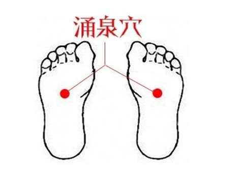 肾关的准确位置图图片 肾关的准确位置图图片