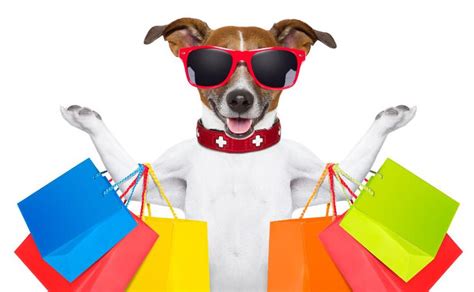 宠物用品出售，宠物洗护，宠物配种服务 - 宠物店/服务 - 桂林分类信息 桂林二手市场