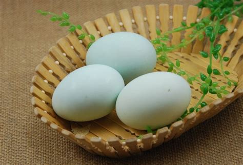鸭蛋不能和什么一起吃,吃鸭蛋有什么好处及食用禁忌