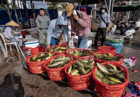 海南陵水：繁忙的新村渔港-人民图片网