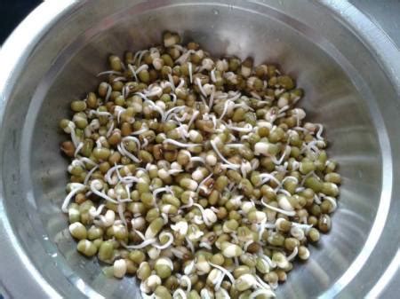 绿豆芽怎么种-百度经验