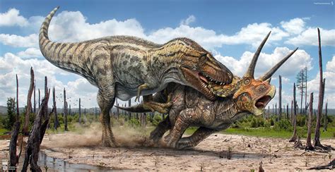 蒙大拿角龙_恐龙种类_恐龙品种分类l型名称大全恐龙品类图片大全名字
