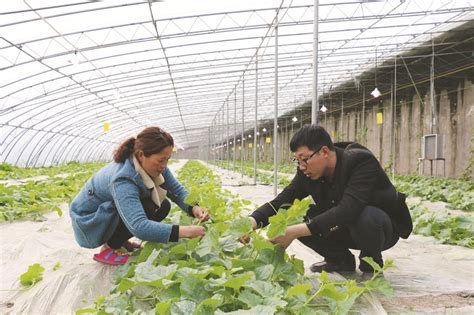 南陵县基层农技推广体系改革与建设培训班在我校开班-安徽农业大学继续教育学院