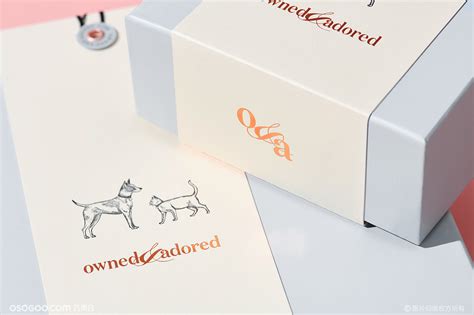 宠物品牌VI设计之国外知名品牌Petbarn品牌升级