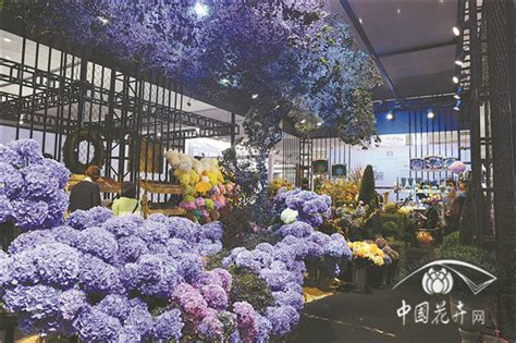 走进"一带一路"迪拜篇4|广东花卉企业给中东沙漠披绿妆