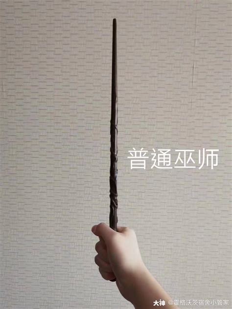 哈利波特魔杖咒语手势图片