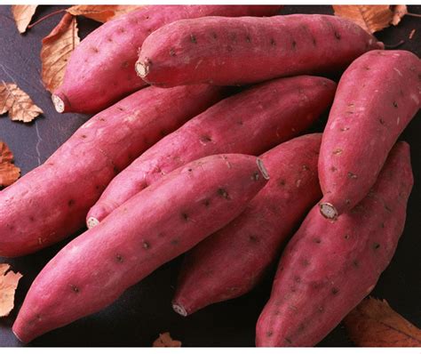 【红薯评测】冬日里的温暖特辑，为你寻找最好吃的烤红薯 - 知乎